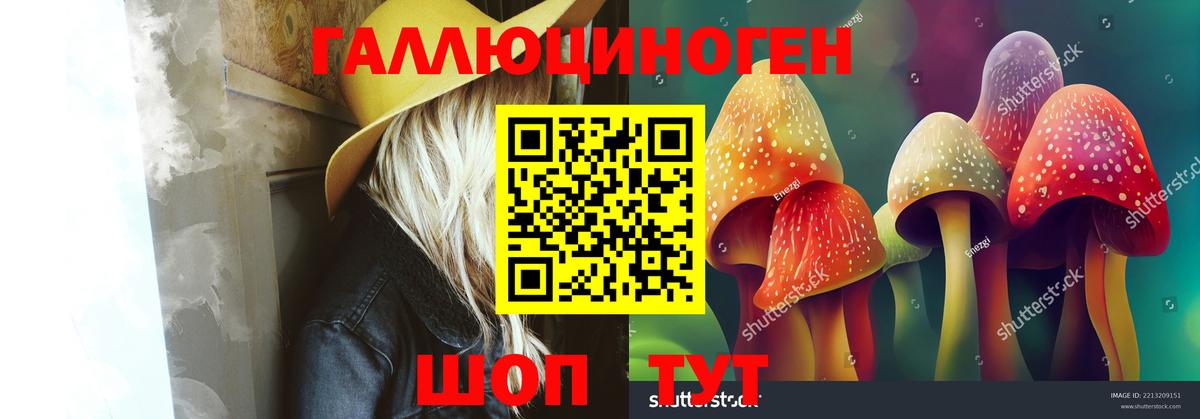 Галлюциногенные грибы Psilocybe  Галлюциногенные грибы ЛСД  Вход с VPN  Анжеро-Судженск 